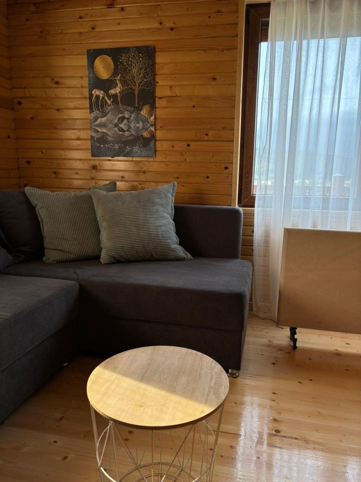 Brvnara Holiday home Vrdnik